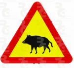 TP-24a · Paso de animales en libertad (jabalíes)