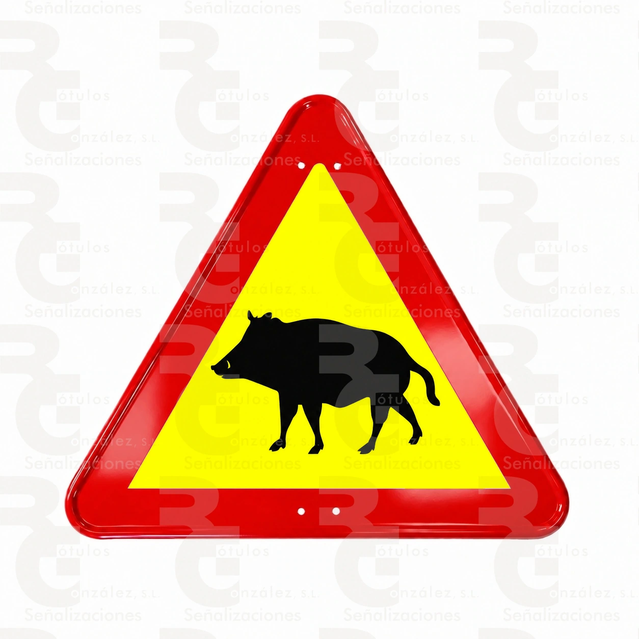 TP-24a-economica TP-24a · Paso de animales en libertad (jabalíes) - Imagen 1