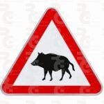 P-24a · Paso de animales en libertad (jabalíes)