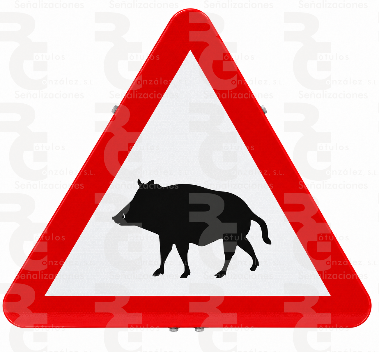 p-24a-mopu P-24a · Paso de animales en libertad (jabalíes) - Imagen 1